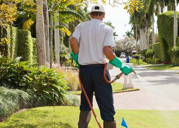About Patterson NC Pest Control